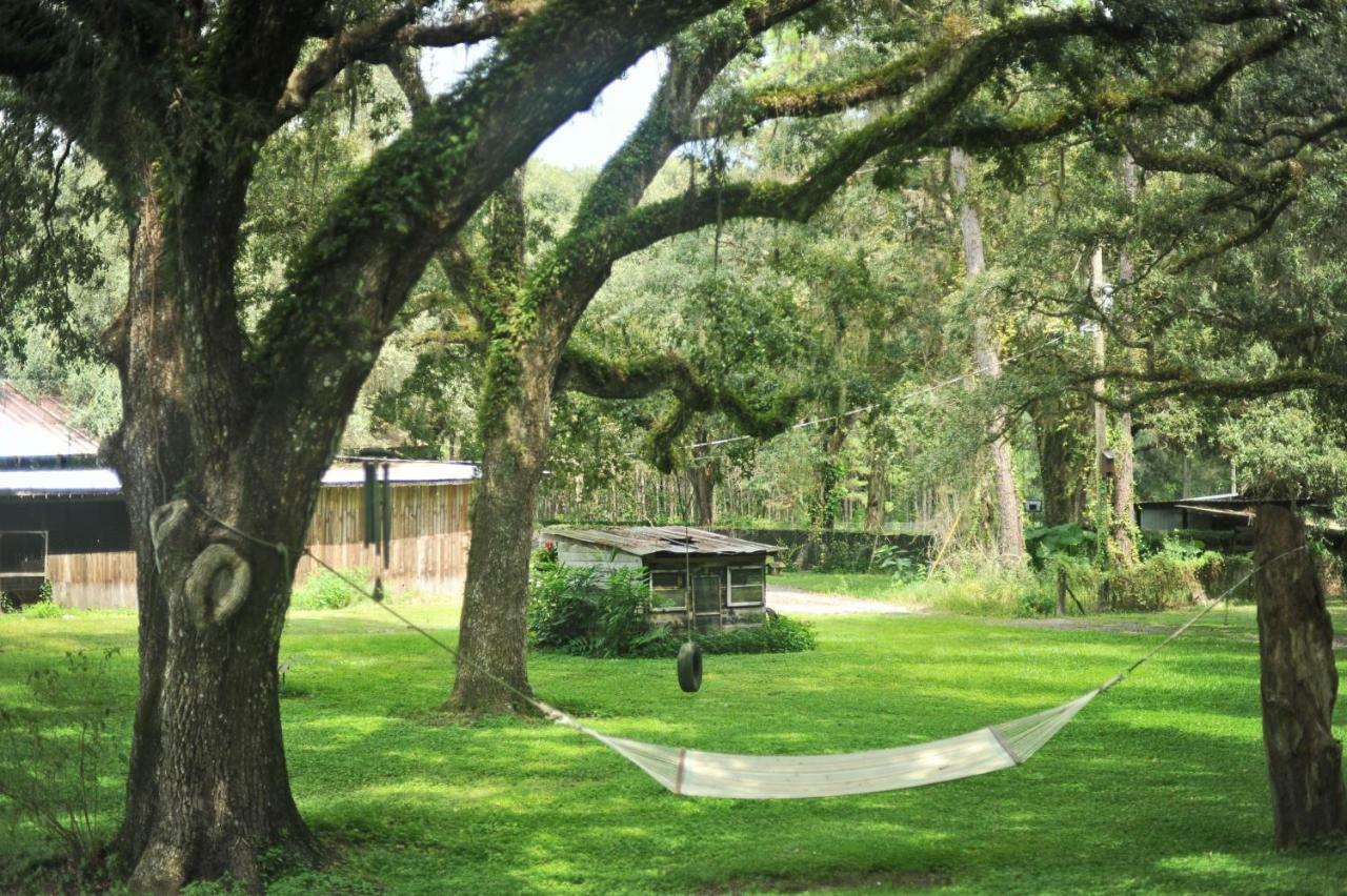 The Harmony Oaks Homestead Masaryktown Екстериор снимка